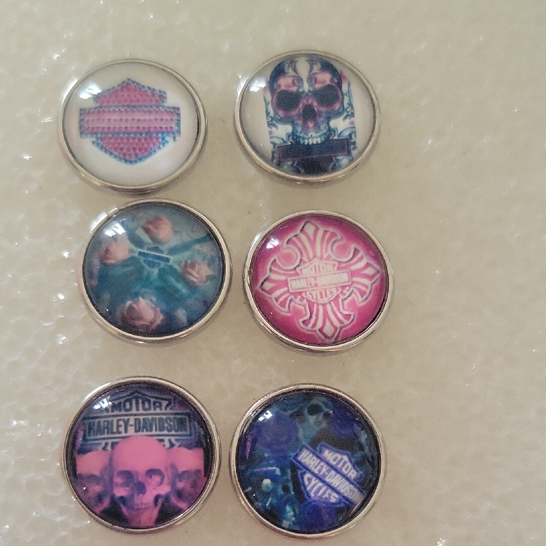 Harley-Davidson ButtonSnap Set With Skull And Logo Designs 20$